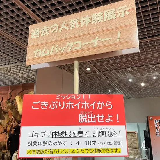 游你扯淡