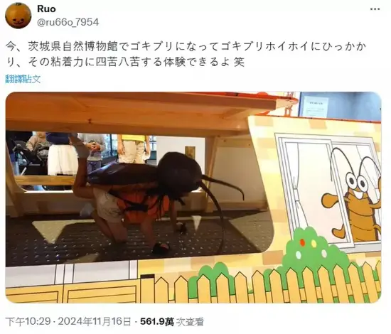 游你扯淡