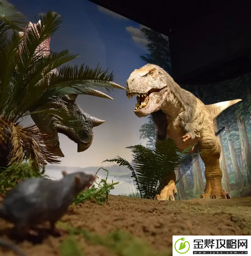 游你扯淡