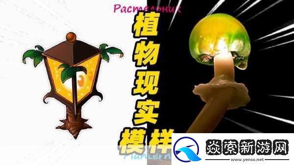 三叶草gw4441