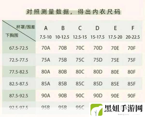 日本尺码与亚洲尺码区别,日本尺码与亚洲尺码的差异解析:一探究竟!