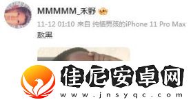 禾野熬黑是什么梗络用语-禾野熬黑梗意思及出处分享