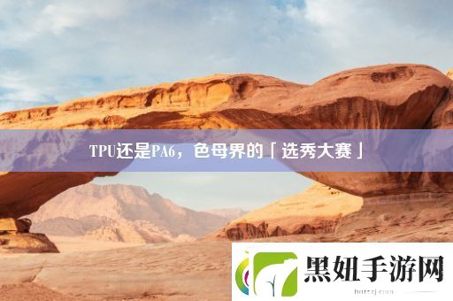 TPU还是PA6-色母界的「选秀大赛」