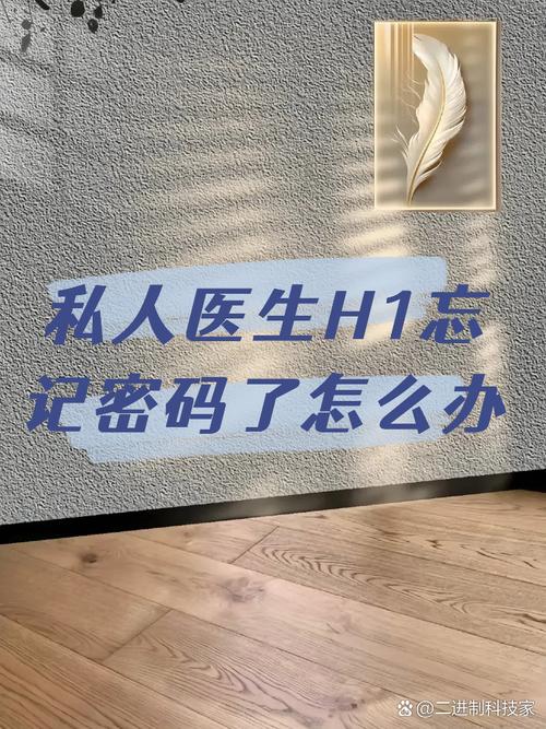 私人医生H1高