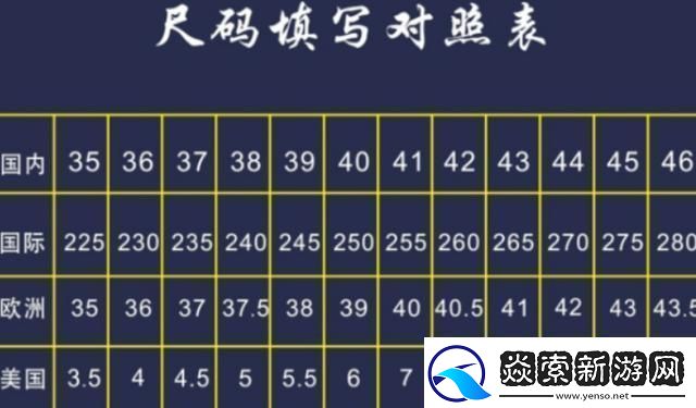 “欧码”杠“中码”：崛起的双生子-区别何在