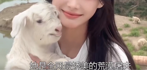 八分钟一只羊是什么意思