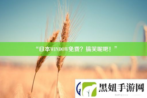 “日本WINDOW免费