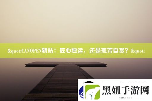 "CANOPEN新站：匠心独运-还是孤芳自赏-"
