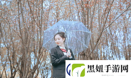 漂亮的秘书伦理HD