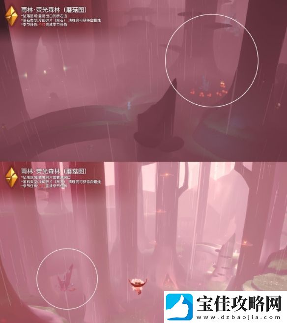 光遇11月14日落石位置一览2023