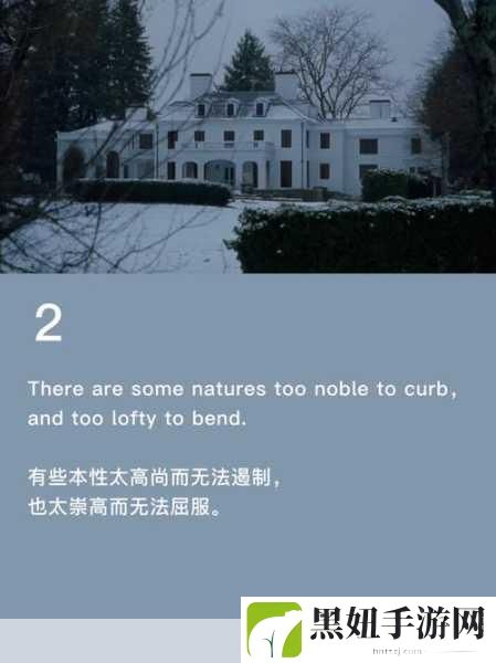 小妇人电影免费观看正版,1. 《小妇人:姐妹情深的温暖故事