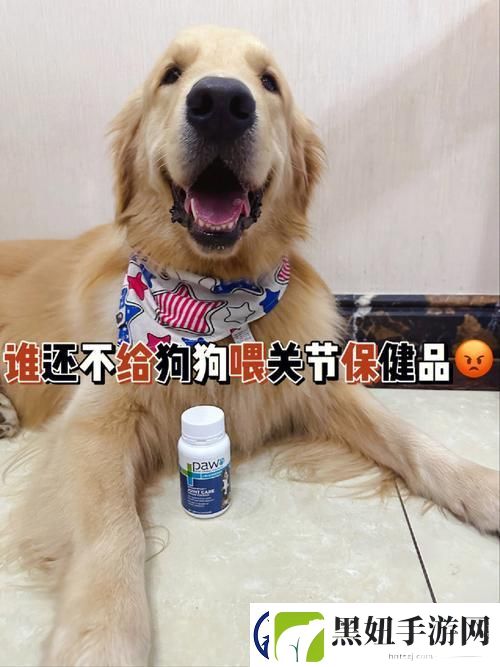 内容丰富狗和人胶配方20分钟