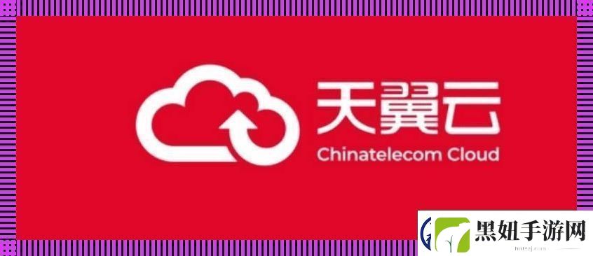 天翼云互联网