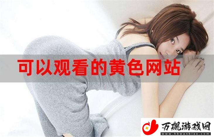 免费站在线观看人数实时更新：深入了解如何优化站流量