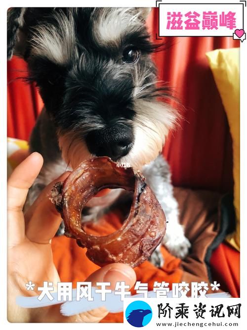 后美国人与动物胶配方大全图片-网友：了解传统工艺的魅力柯林资讯