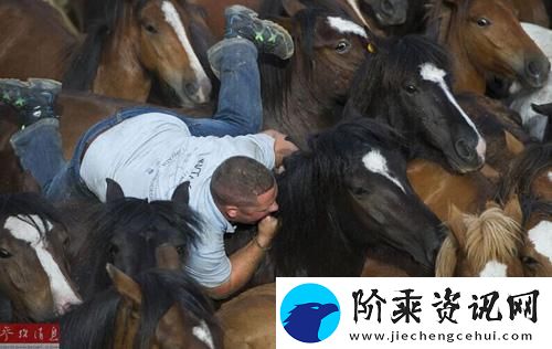 人马大战CRM-网友：这场对决究竟谁能胜出-柯林资讯
