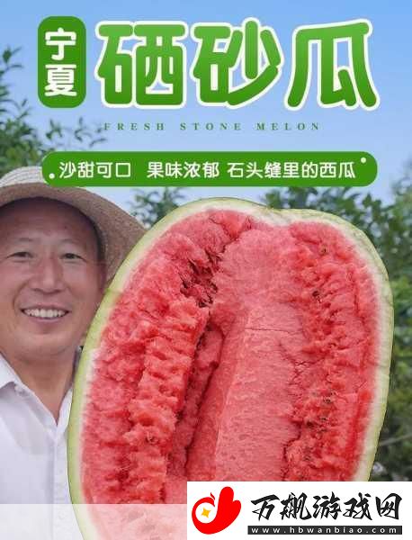 51每日必吃大瓜热门top1-每天必吃大瓜：探秘最新热门话题与趣闻