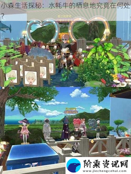 小森生活探秘：水牦牛的栖息地究竟在何处