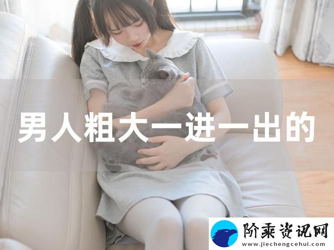 内容丰富的大肉大捧一进一出的视频-网友热议：美食与文化的奇妙结合柯林资讯