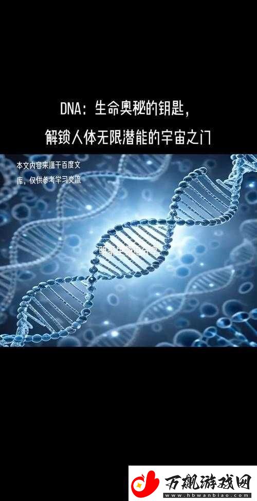 人与DNA的DNA免费：开启科学探索新征程