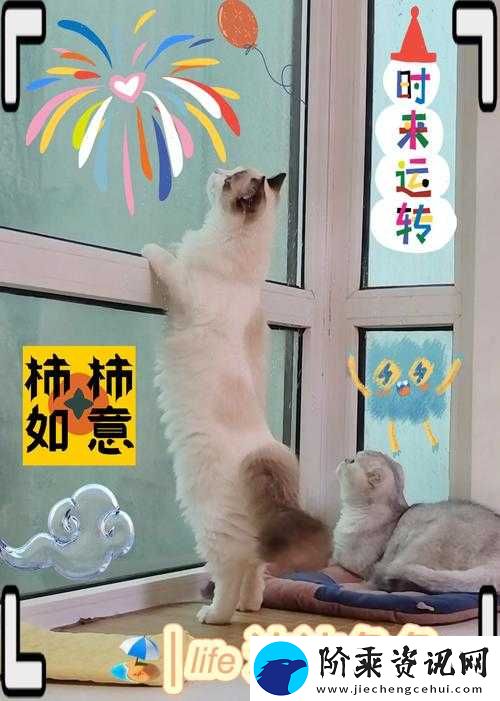 乖-好舒服-把腿张开——探索别样的愉悦体验