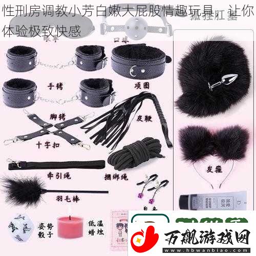 性刑房调教小芳白嫩大屁股情趣玩具让你体验极致快感
