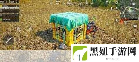 和平精英奇幻之旅，揭秘地宫彩蛋的奇妙之旅