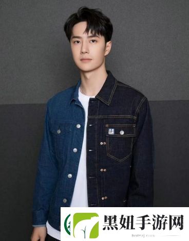 前进吧idol：迎接挑战与机遇-新生代偶像的成长之路