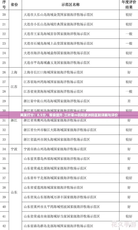 友打分：8.5分-等级提升-三叶草m码和欧洲码区别详解与评价