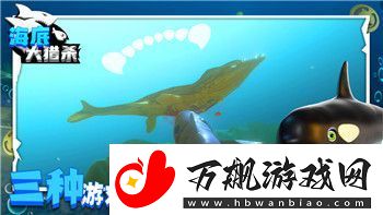 只只大冒险络联机服务引领多人在线游戏新潮流