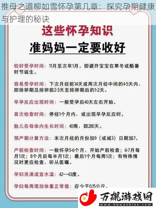 推母之道柳如雪怀孕第几章