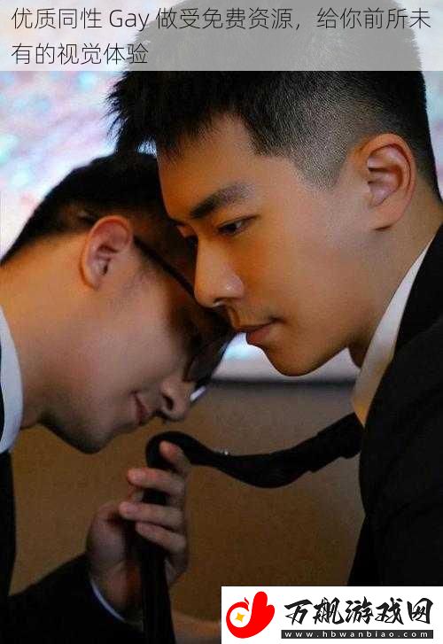 优质同性