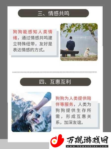 人物与动物交互
