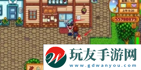 星露谷物语怎么结婚