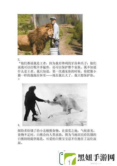 人与动物交互的奇妙故事