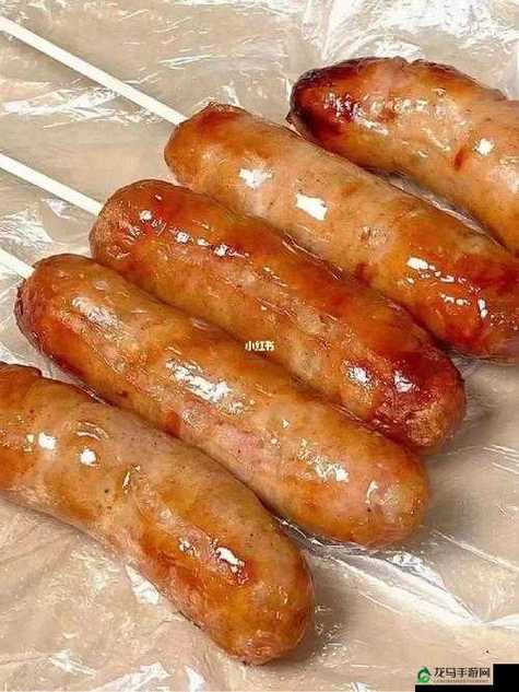 《小洞需要大肉肠纪录片》：探索美食背后的文化与传承