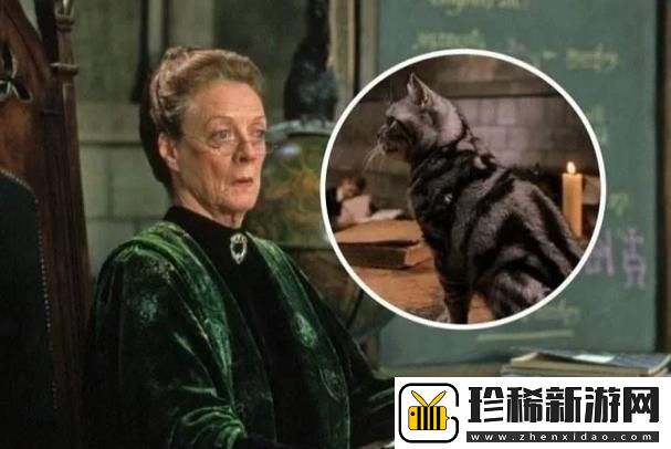 教授好会c1vNP拦路猫