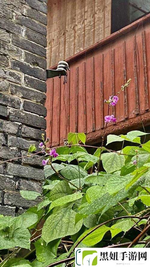 初摄五十路：开启别样的影像之旅