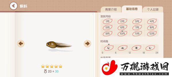 心动小镇湖鱼有哪些