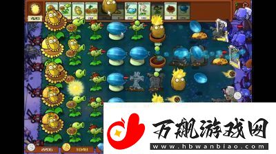 植物大战僵尸杂交版前院告急第6关通关攻略分享