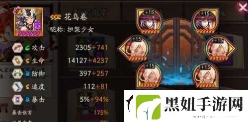 画中美人揭秘-阴阳师SSR角色花鸟卷御魂搭配全方位攻略