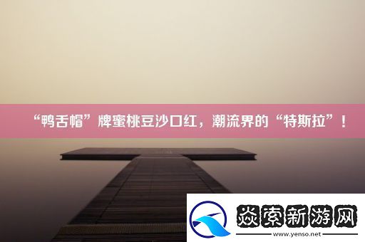 “鸭舌帽”牌蜜桃豆沙口红-潮流界的“特斯拉”！