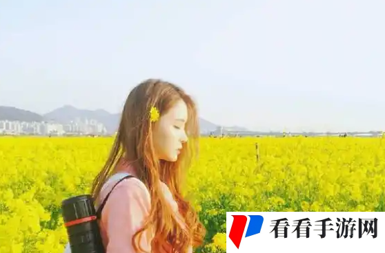 三亚在线观看免费高清电视剧软件，粉丝：重拾经典剧集，感受青春回忆