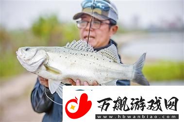 珊瑚岛巨型海鲈鱼垂钓位置全景