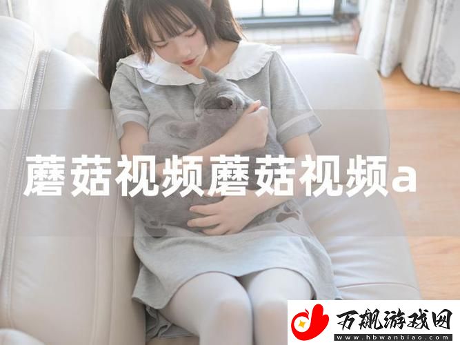 交资源www站蘑菇-网友：