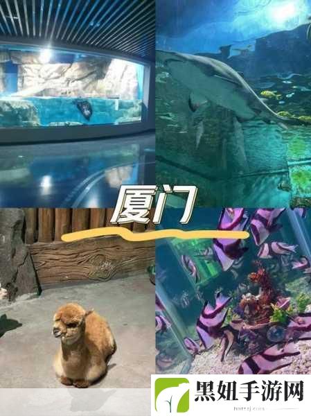 球球大作战新探险，海底故事全攻略，解锁深海奇遇！