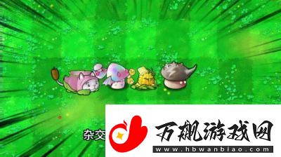 植物大战僵尸杂交版前院告急第10关攻略大全【完整步骤】