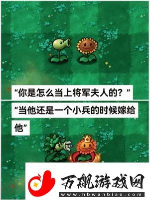 植物大战僵尸杂交版前院告急第10关攻略大全【完整步骤】