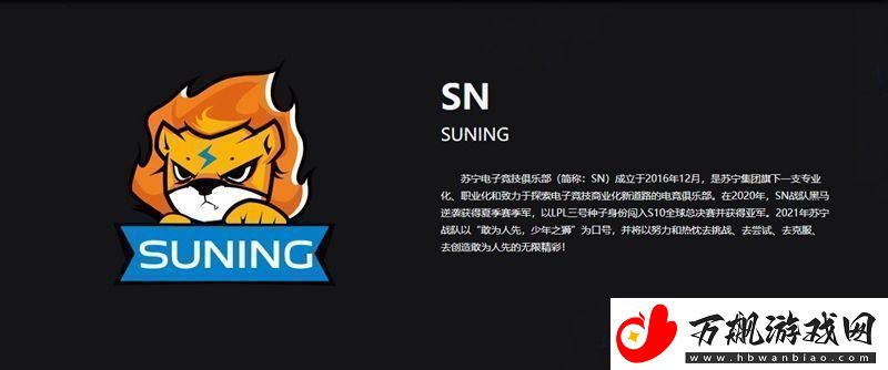SN战队LPL夏季赛名单