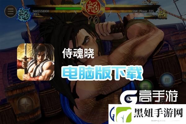 原创侍魂晓电脑版下载